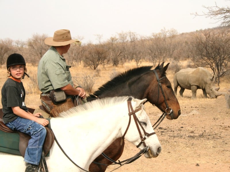 ants-kindersafari-hg Reisetipps für Safaris mit Kindern in Afrika