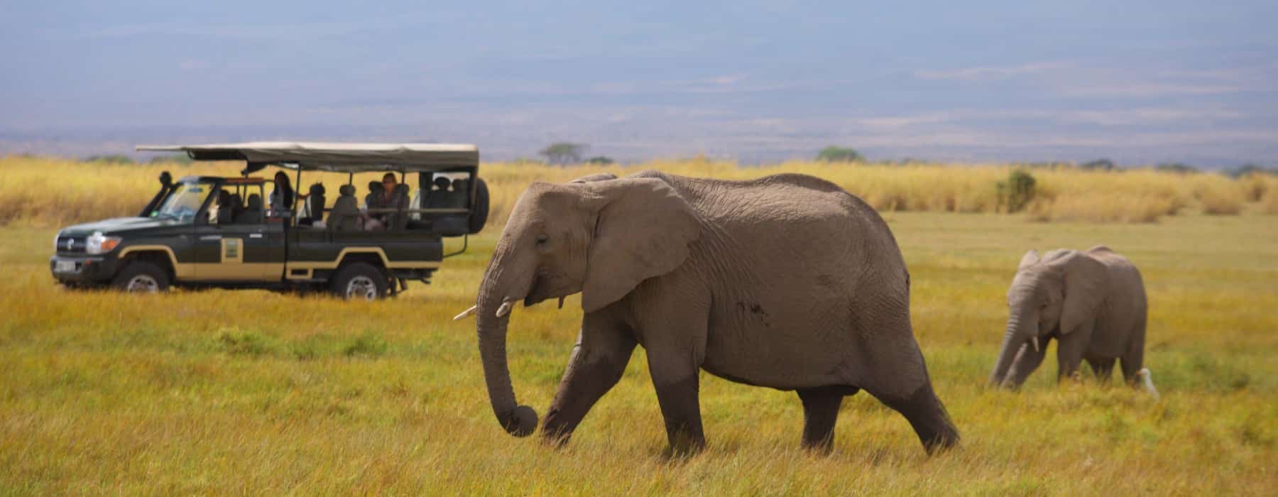 tortilis-pirsch-fahrt-amboseli-kenia-chp Elefantenmutter mit Kind Amboseli Kenia