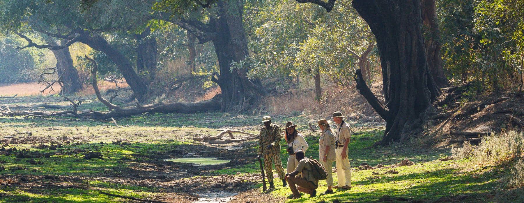 wandern-tena-tena-south-luangwa-sambia-rps Wandern in South Luangwa Sambia RPS