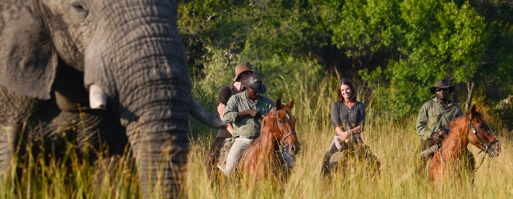 African Horse Back Safaris Okavango Botswana