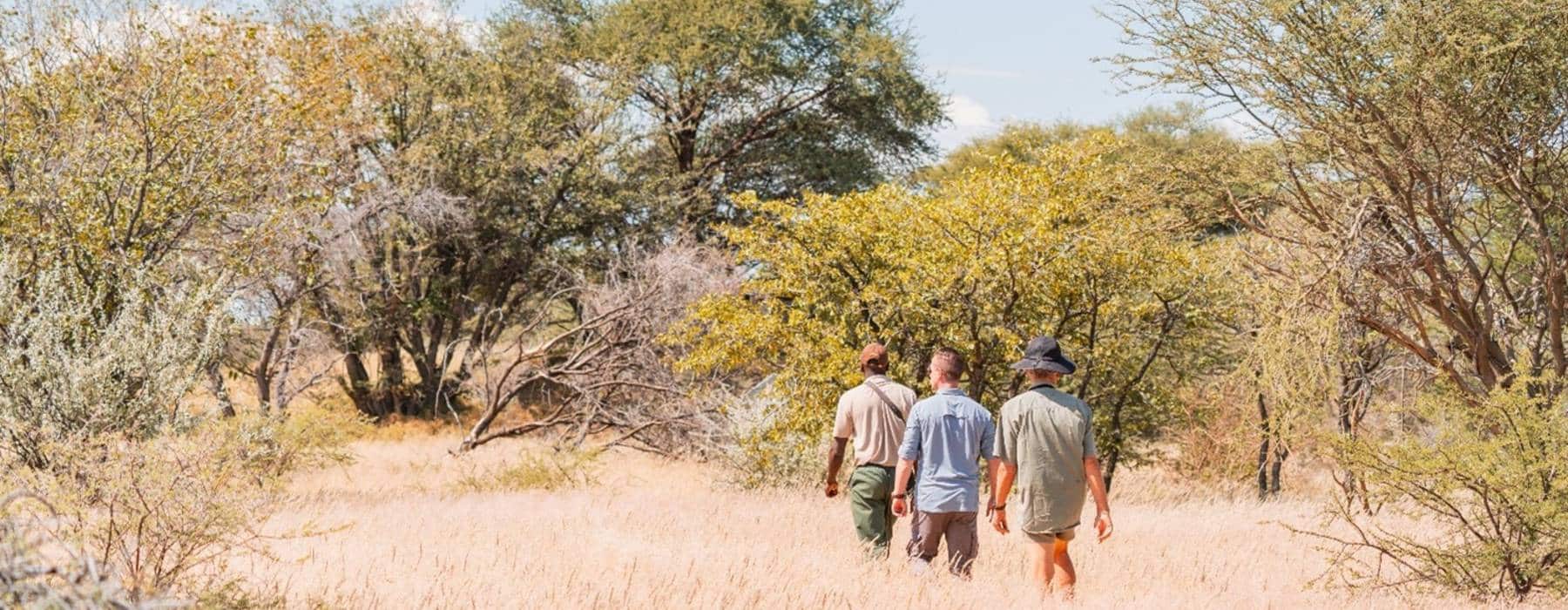 ohorongo-walk-the-wild Sonderreise Walk the Wild of Namibia
